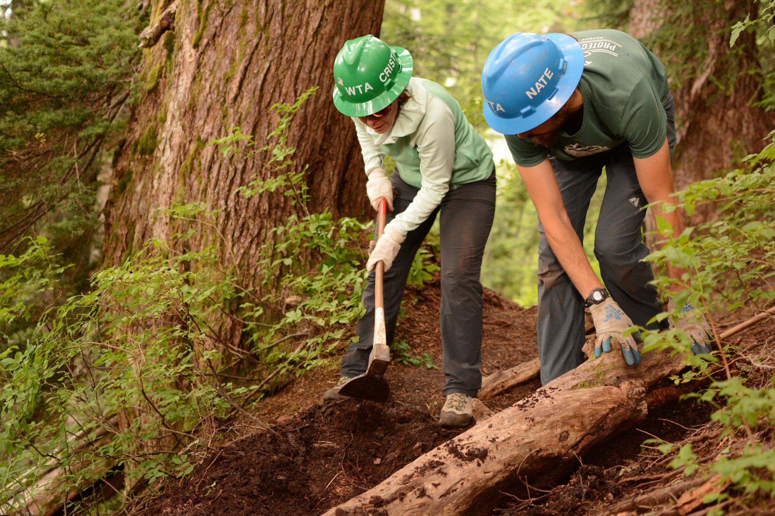 A volunteer digs into the trail tread with a grub hoe.
