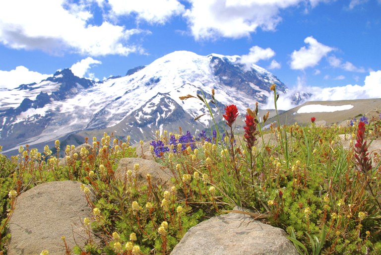 burroughs rachel emmans.jpg