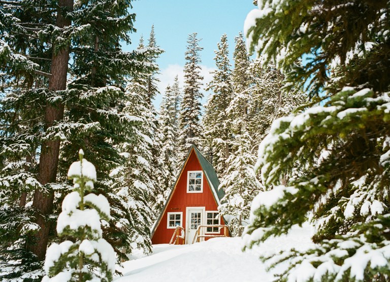 Columbine1.JPG Columbine1.JPG