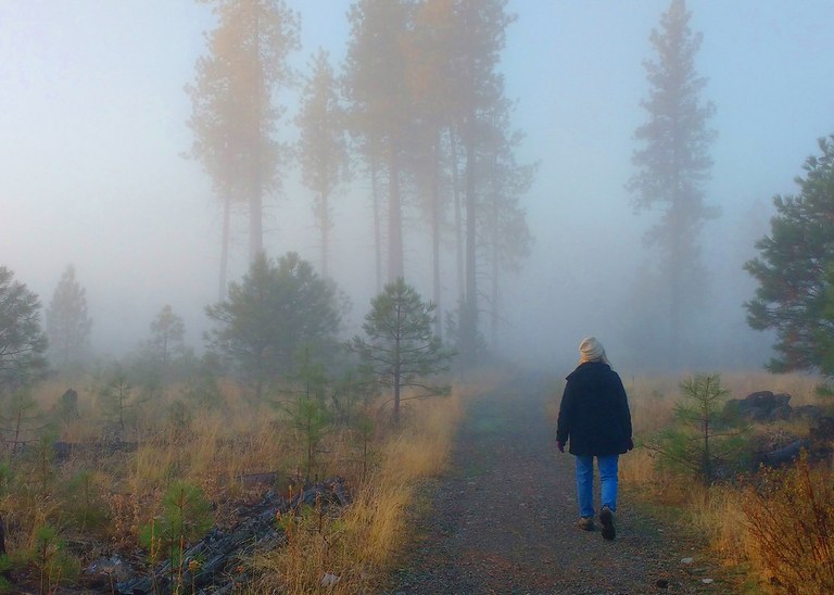 coyote flat_neil Clemons coyote flat neil clemons.jpg