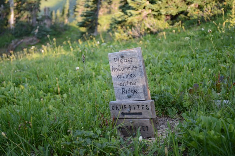 Campsites & toilets sign by Loren Drummond