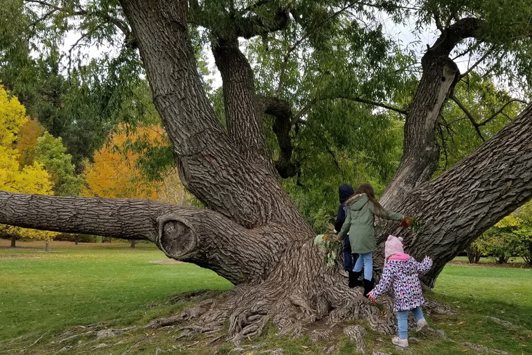 Hikers explore the arboretum