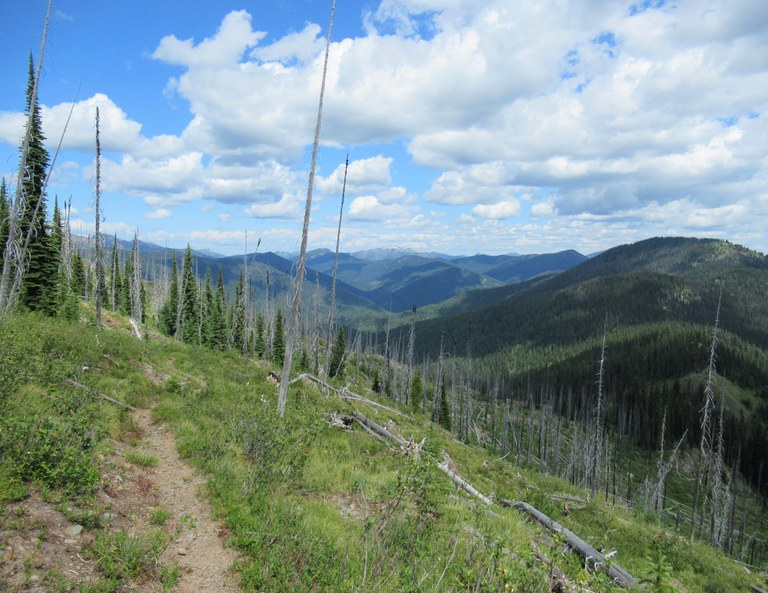 Rugged backcountry