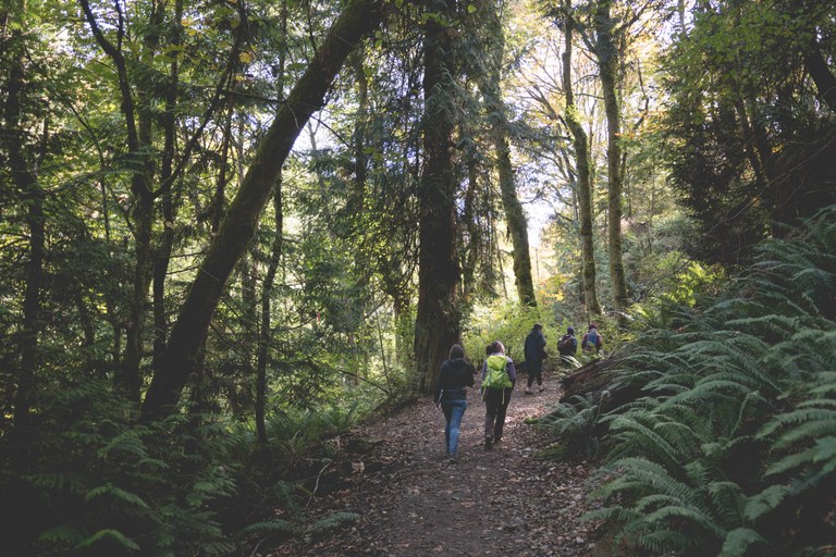 King County field tour. Photo by Britt Le.