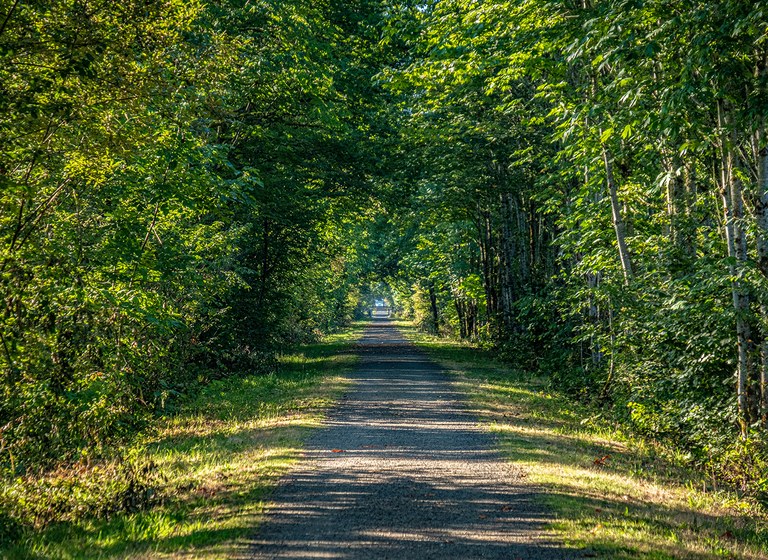 King county snoqualmie valley trail KING COUNTY snoqualmie valley trail.jpg