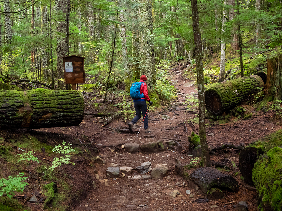 A hiker walks past a Forest Service informational sign. 