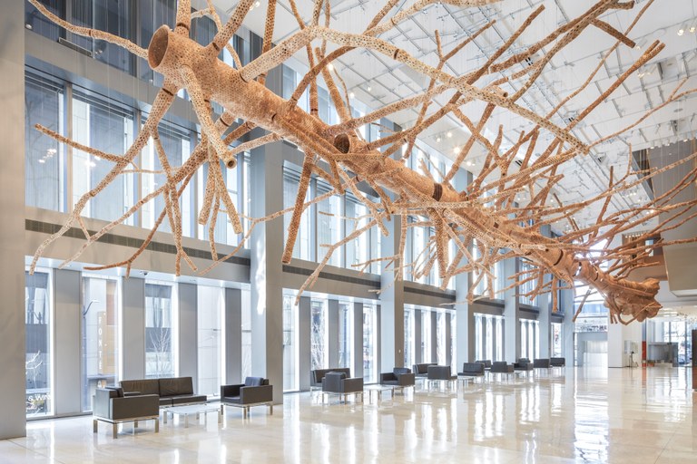 Middle Fork_installation view2.jpg Middle Fork_installation view2.jpg