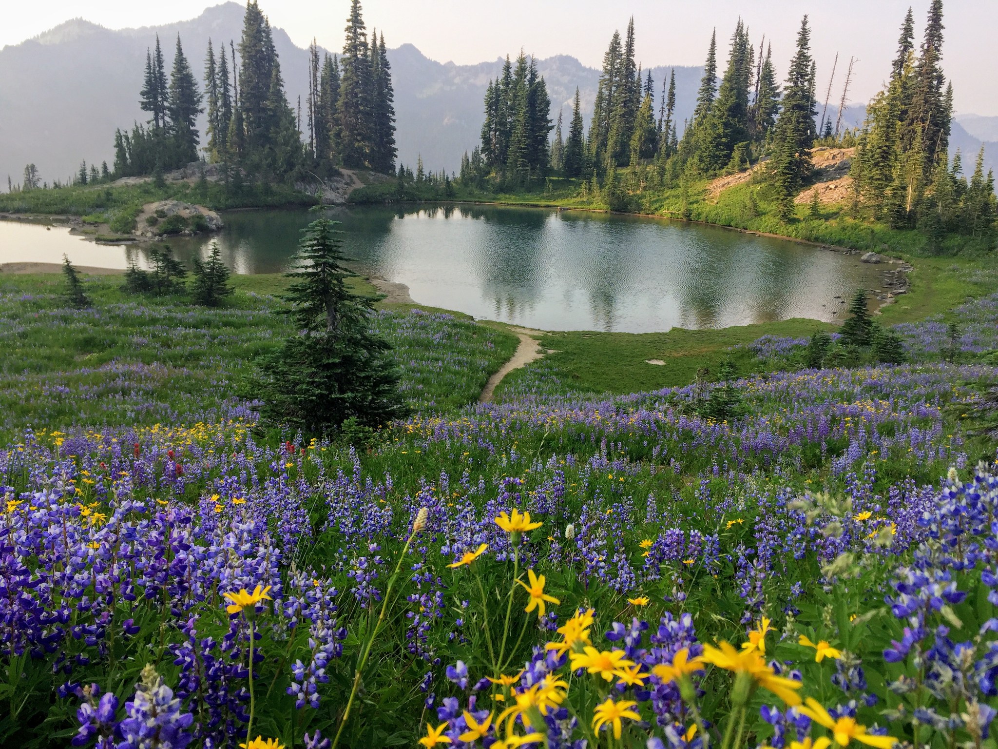 Naches Peak Loop. Photo by Jenny Lamharzi.