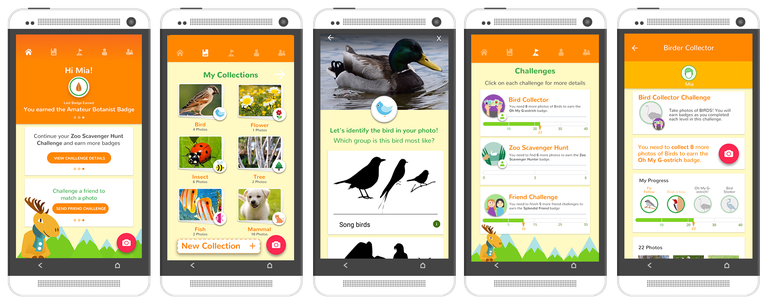 NatureCollectionsApp-Screens.png