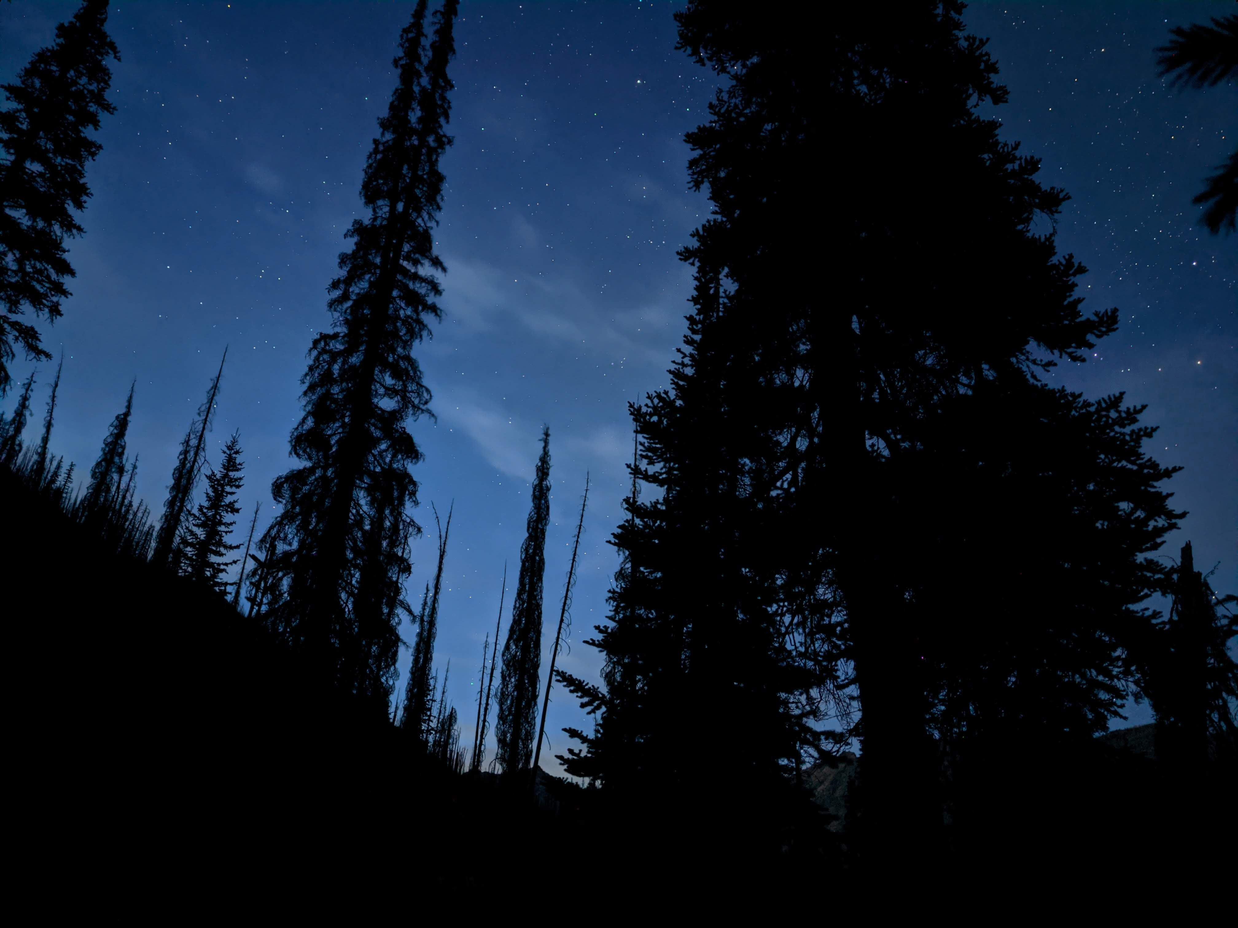 night sky2 Zachary Toliver (1).jpg