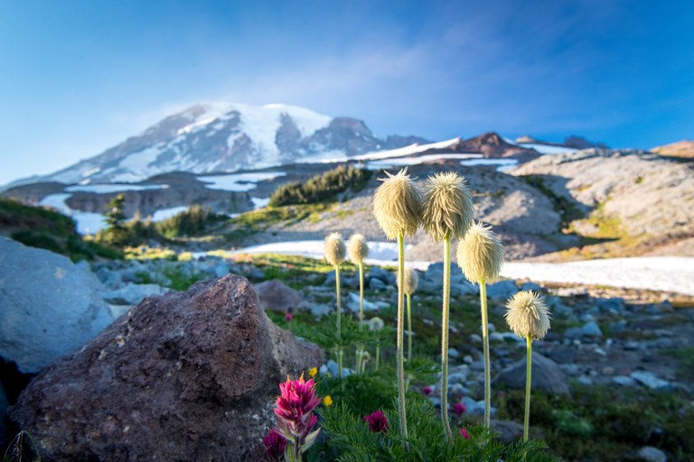 rainier_peterKijac.jpg rainier_peterKijac.jpg