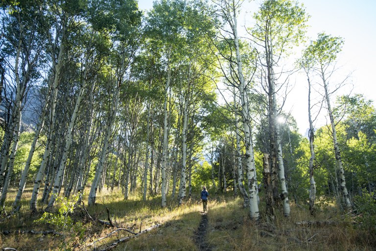 Steens-178.jpg Steens-178.jpg