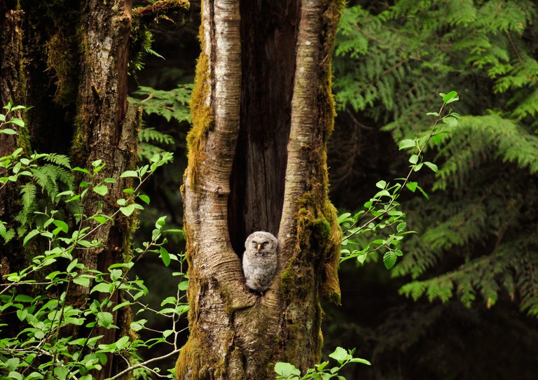 Stimpson Nature Reserve. Photo by Todd Entrikin.