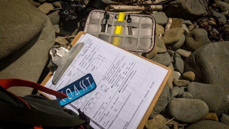 SWeilemanCOASSTsupplies.jpg SWeilemanCOASSTsupplies.jpg