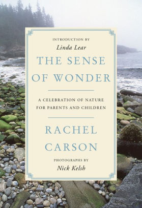 the sense of wonder.jpg the sense of wonder.jpg