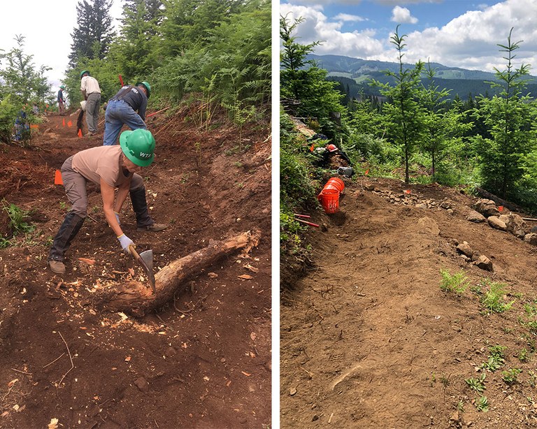 yacolt.jpg yacolt.jpg