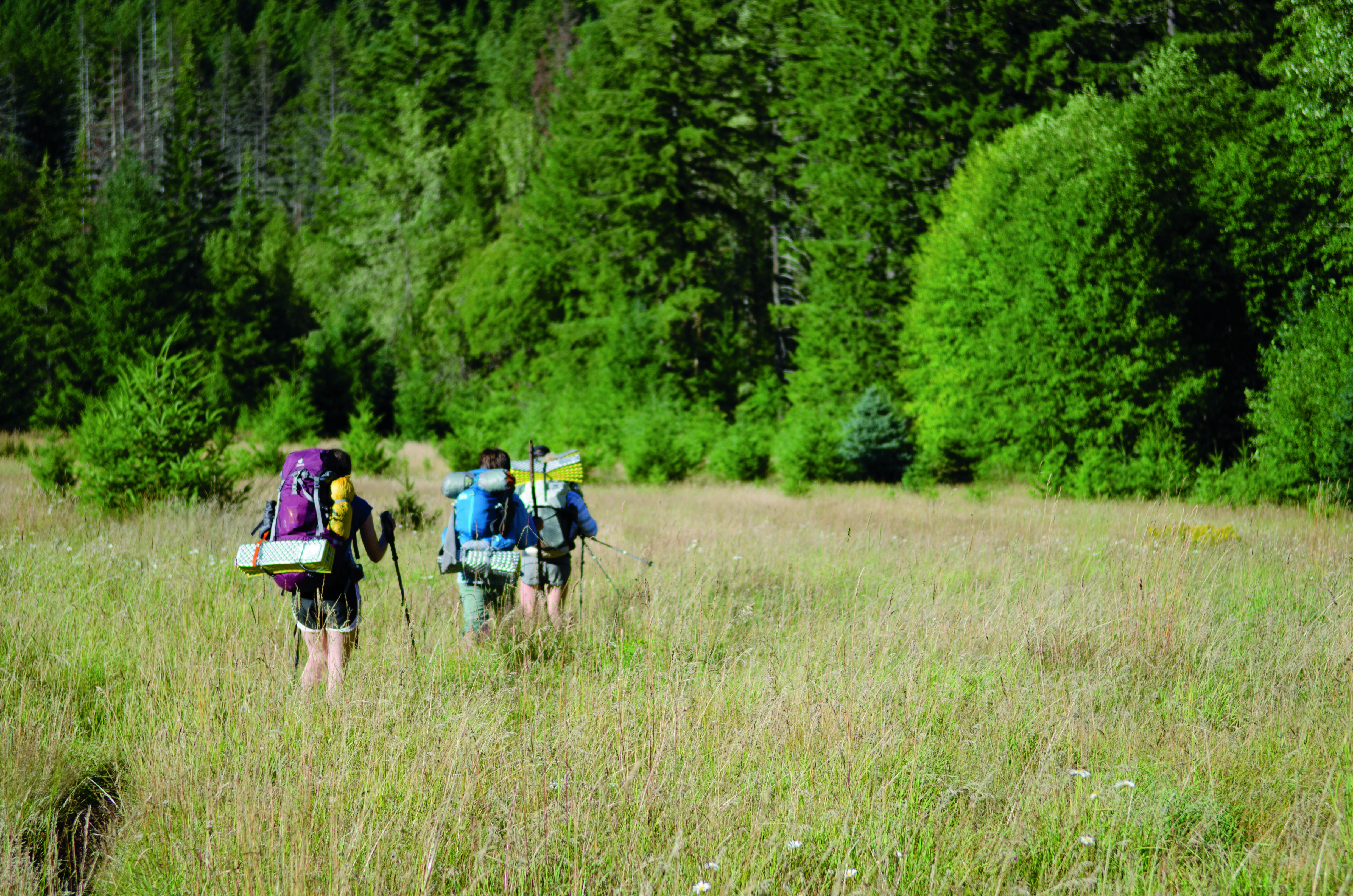 Youth hiking along the PCT. Photo by Michael Telstad.