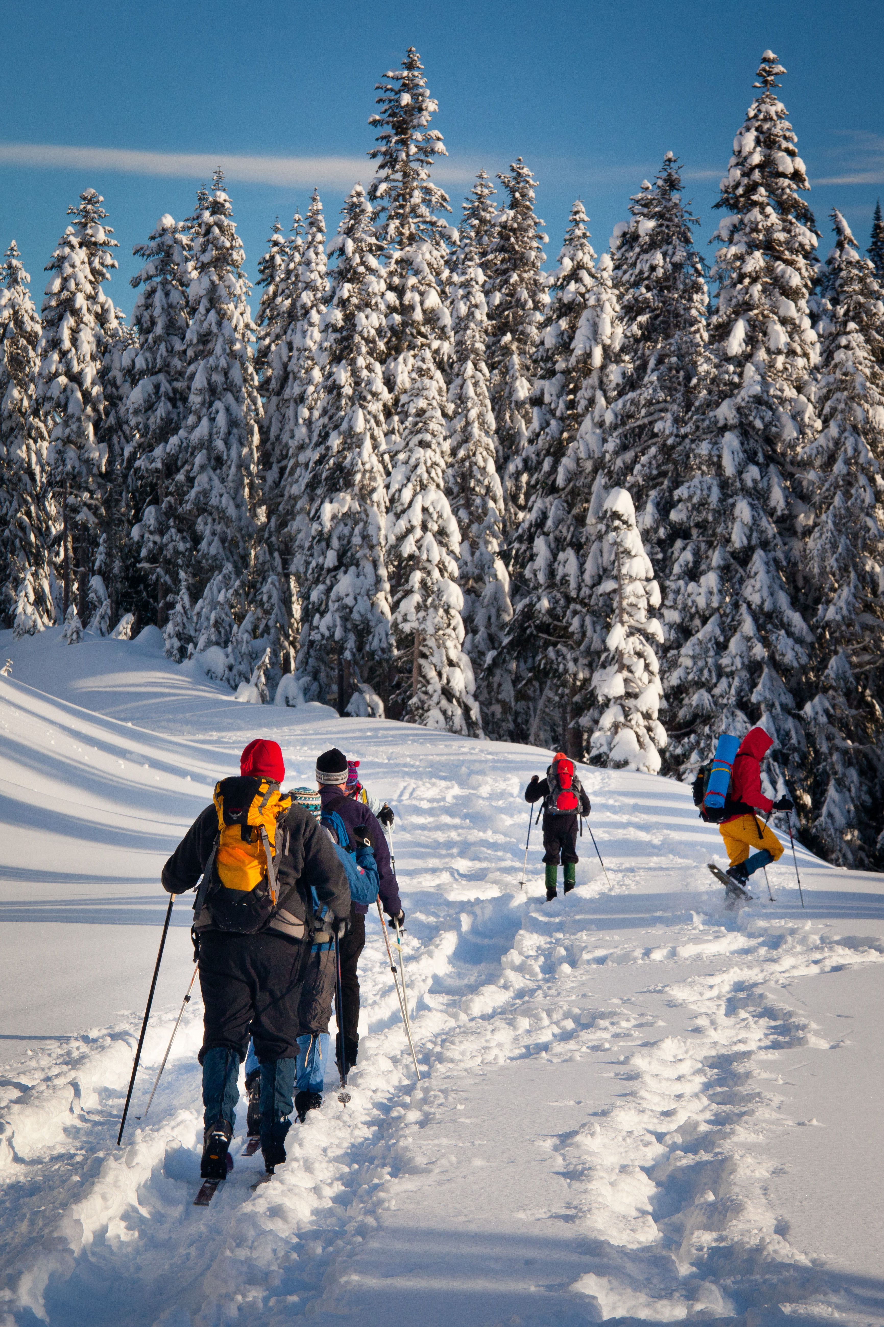 Rainier reflection lake by Igne Johnsson Group of three snowshoers on trail with blue sky and snowcovered pine trees in background.
