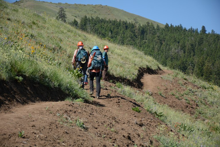 Trail maintainers walk along a grassy hillside.