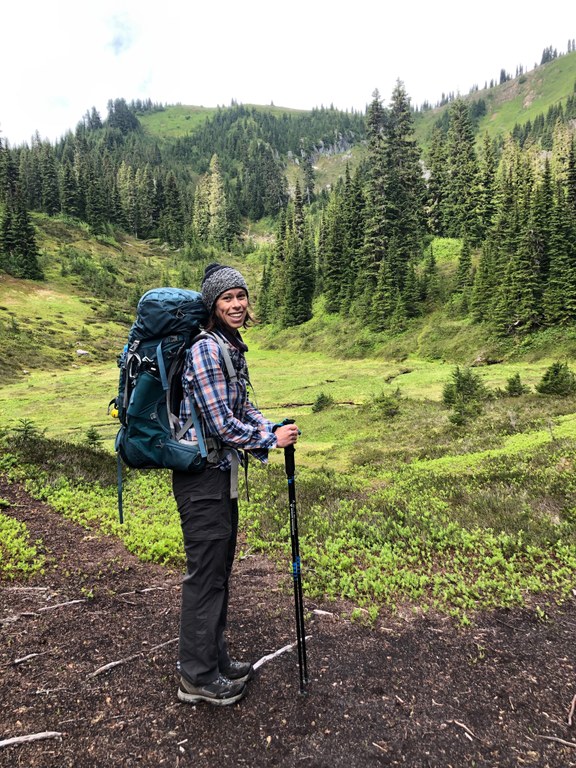 A hiker wearing a backpack stands on the edge of a subalpine meadow.
