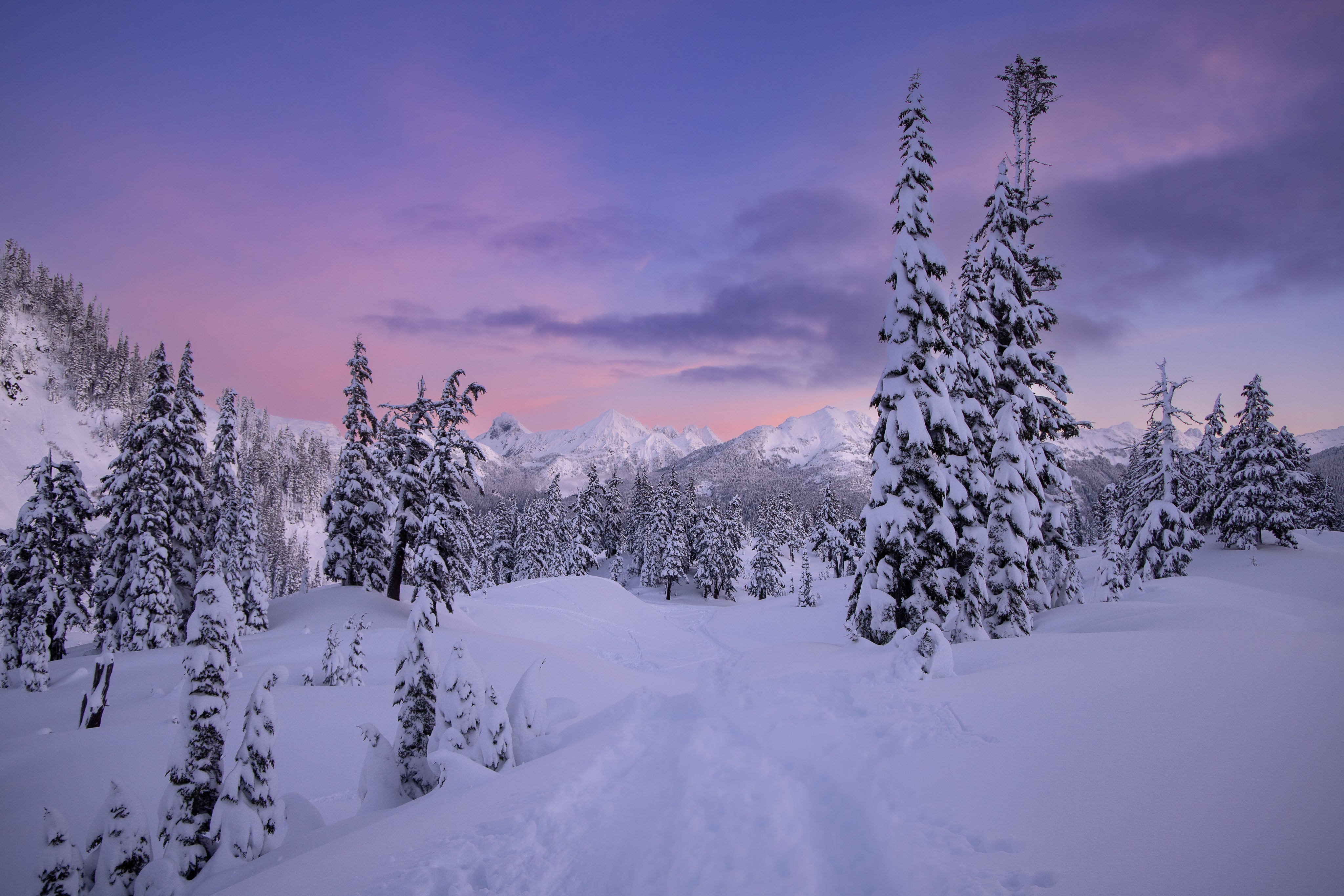 Purple and pink snowscape in the mountains.