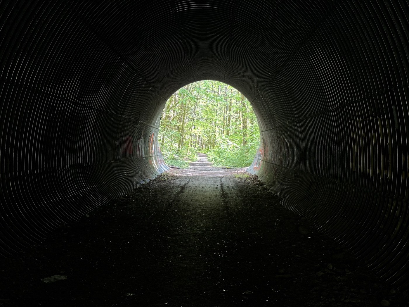 Snoqualmie Valley Trail by trip reporter achy9 Tunnel with views of paved trail head and green trees.