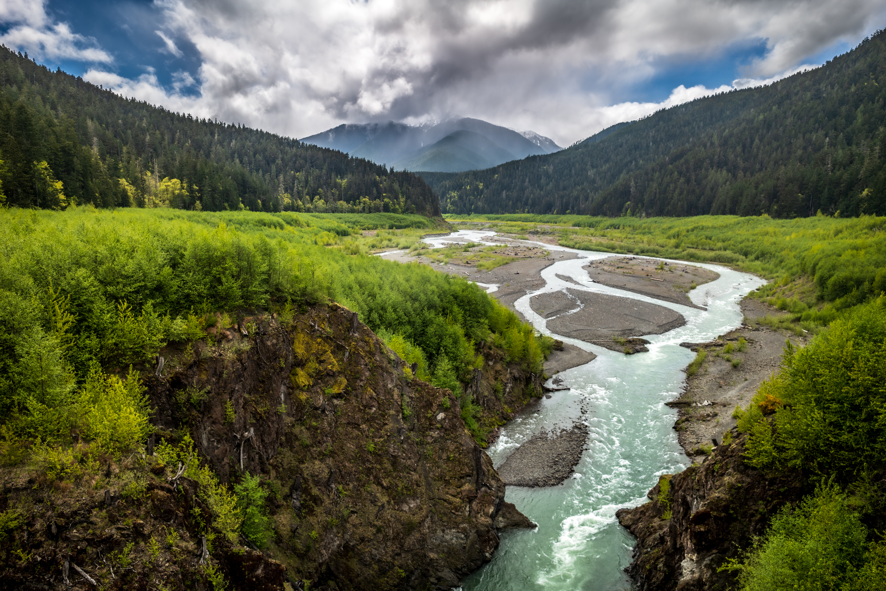 Elwah River landscape rushing amongst evergreens and mountains on sunny day.