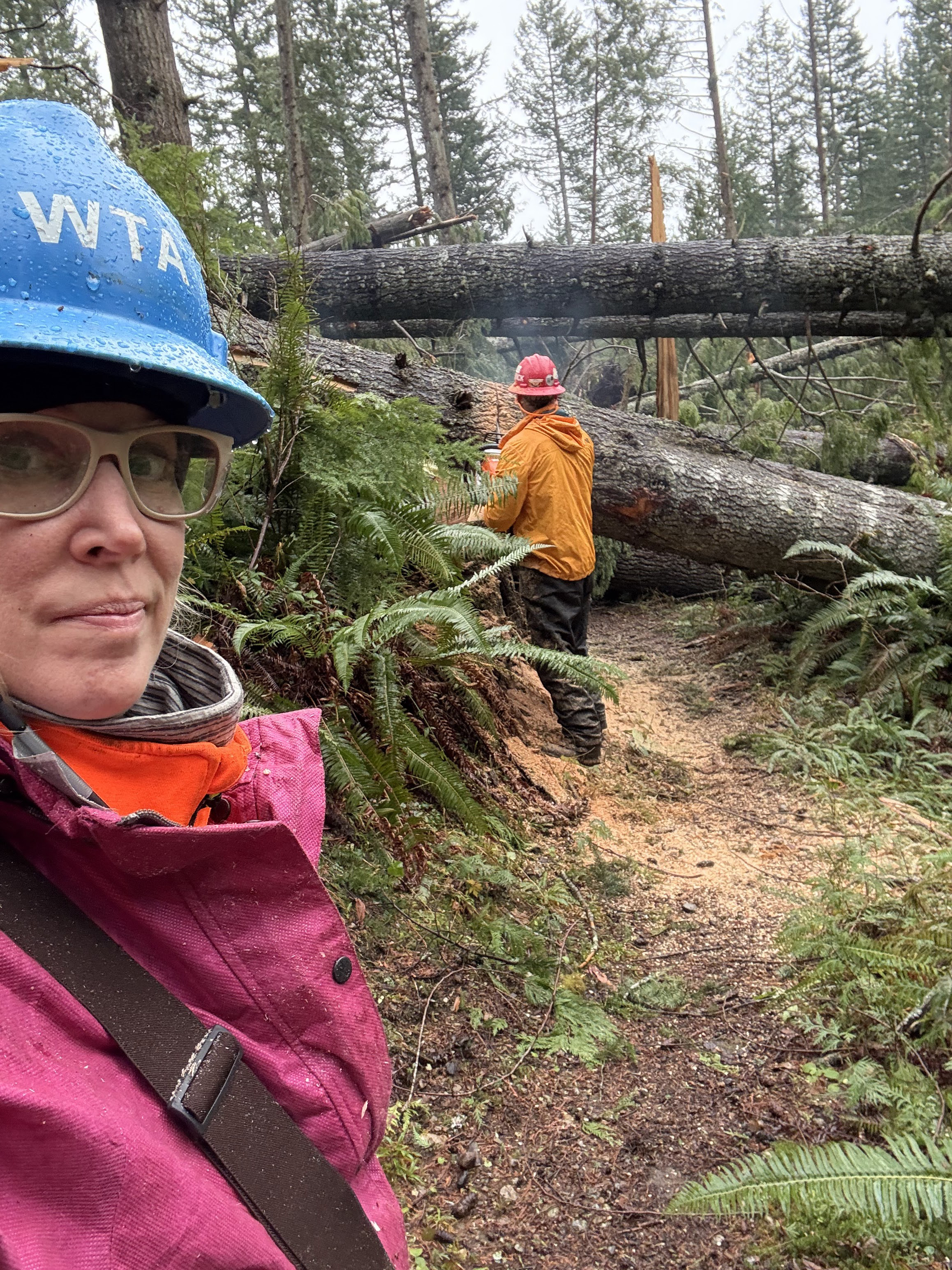 tiger emily snyder.jpg