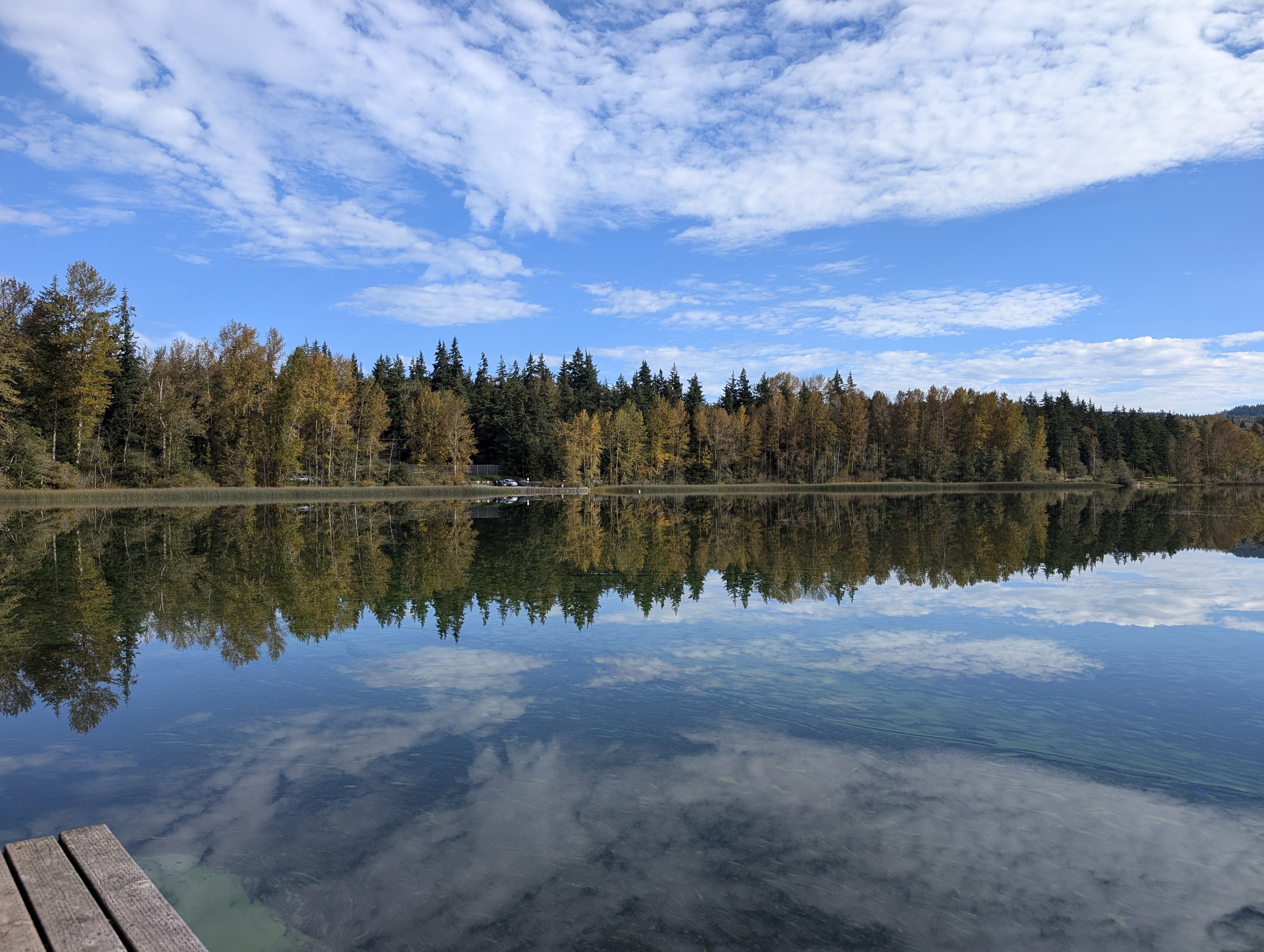 Fall colors on trees reflecting on Lake Padden in Bellingham. Photo by Washington Park Arboretum. 