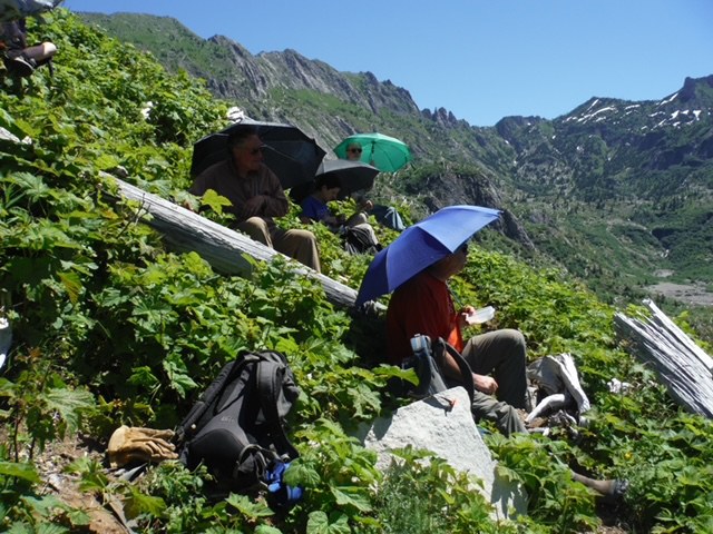 Don't have shade on a work party? Bring your own! Photo by Rick Colbert A group of volunteers sit off trail with umbrellas for shade.