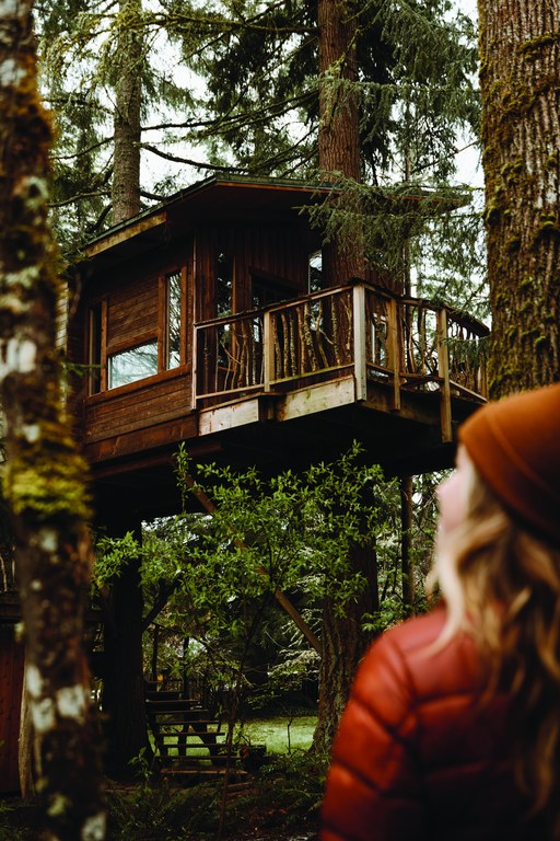 Squirrels Nest Treehouse A rustic tree house in the forest.