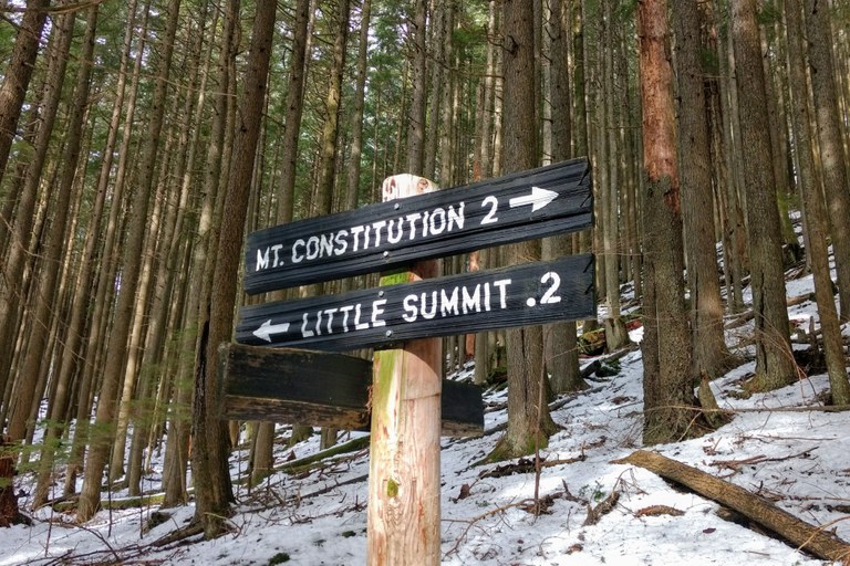 bfralic_Little Summit trail.jpg bfralic_Little Summit trail.jpg