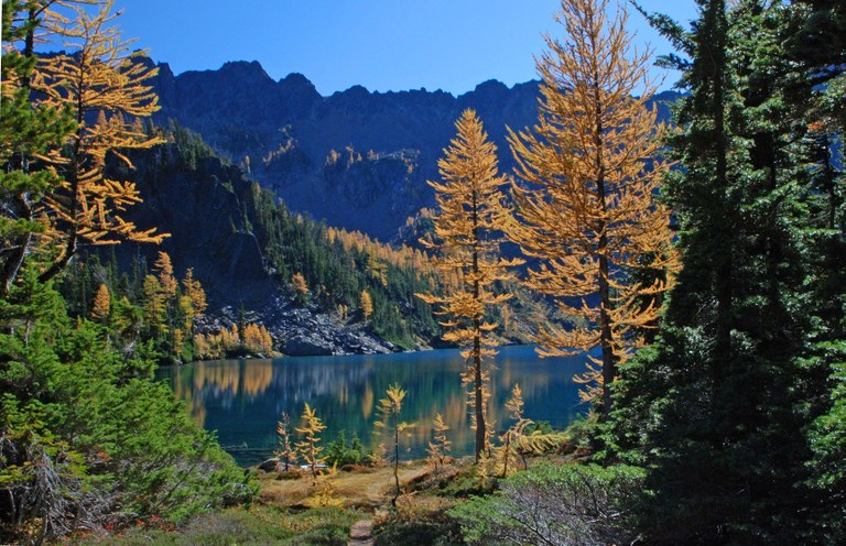 Larch Lake with yellow larches. Photo by Judy West. larch lake Judy West.jpg