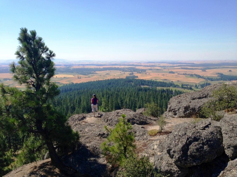 stevens creek dishman Marcel Chesney.jpg