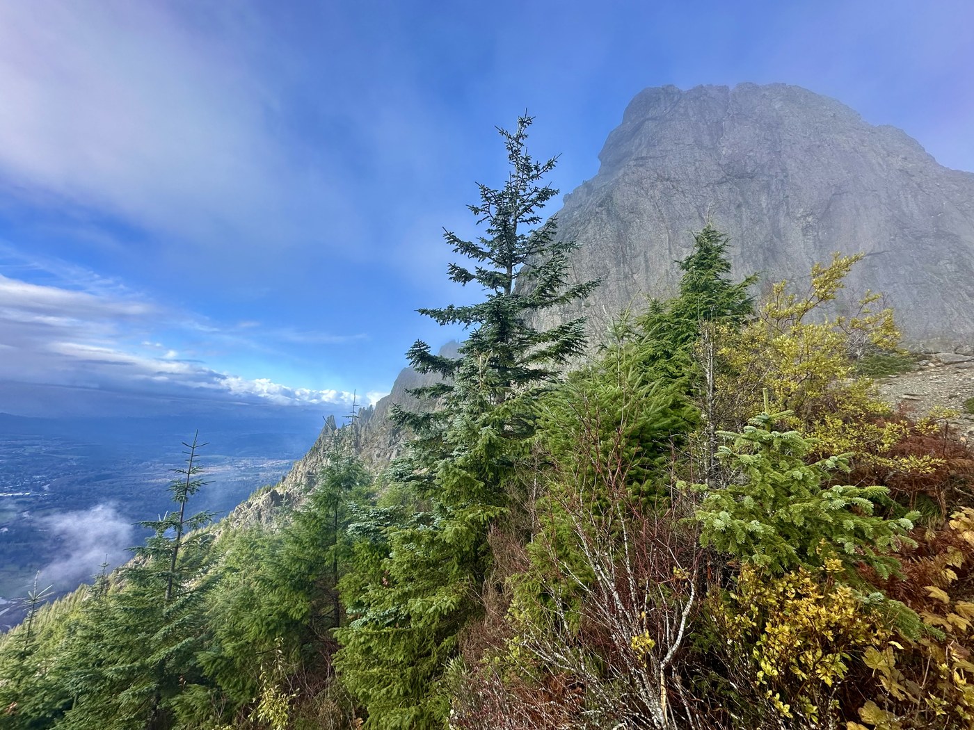 View dominated by rock formation and evergreen trees on a bright day with blue sky