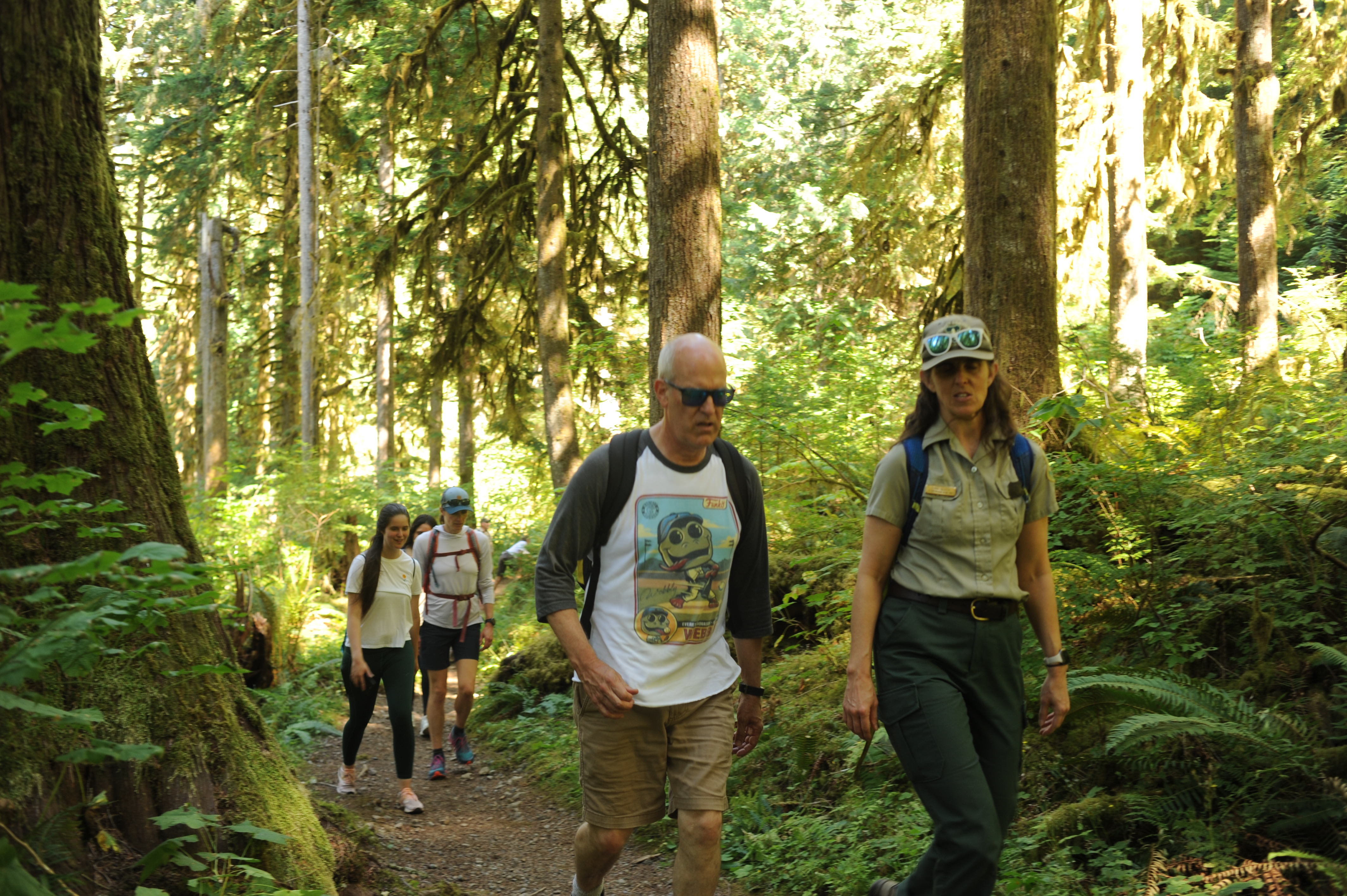 Someone in forest ranger uniform leading a group of hikers on a forest trail