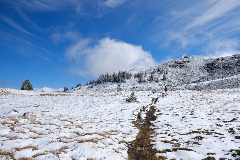 Trail with a dusting of snow