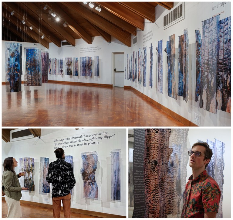 Art in layers shows burnt tree trunks. 