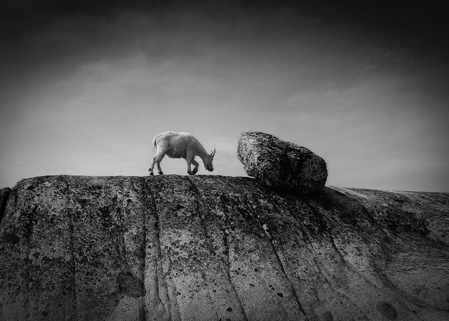 Kristin Elwell's 2013 grand prize winning photo.