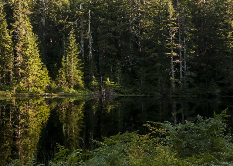 Photo by Paul Wolman.