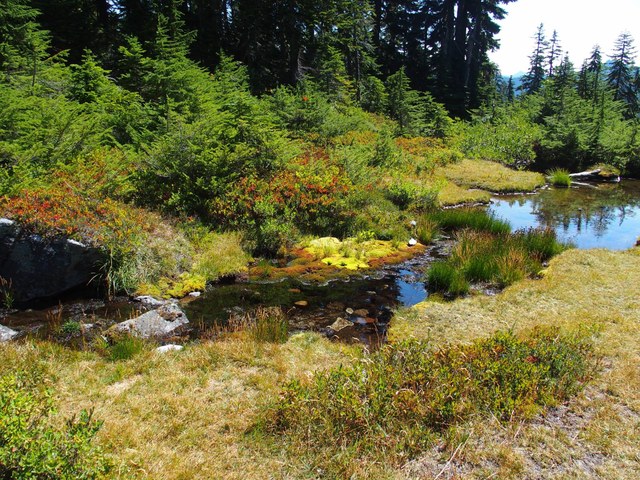 The PCT from Tunnel Creek to Trap Pass by Linda Roe