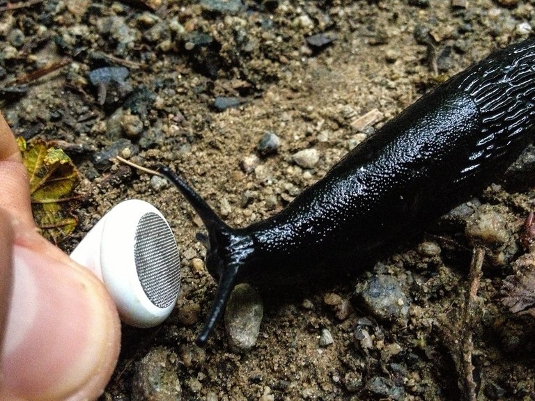 Photo by Shiphrah Pickett. Photo by Shiphrah Pickett.