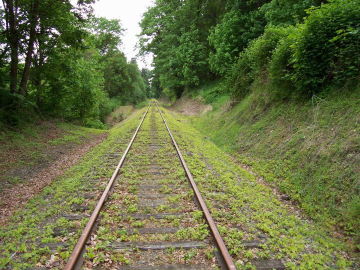 1587-East Side Rail Trail Photo by Christopher Burke..jpg