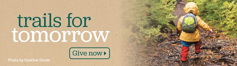19-winter-banner.jpg 19-winter-banner.jpg
