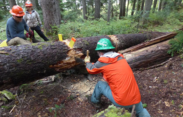Our volunteer trail maintenance program, including this Backcountry Response Team work on Thompson Lake last year, depends on the Recreational Trails Program funding.