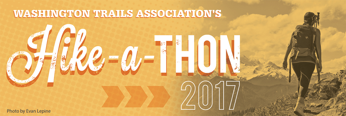 2017 hat banner-lrg.jpg