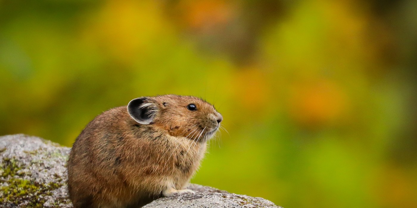 Photo by Gary Anderson