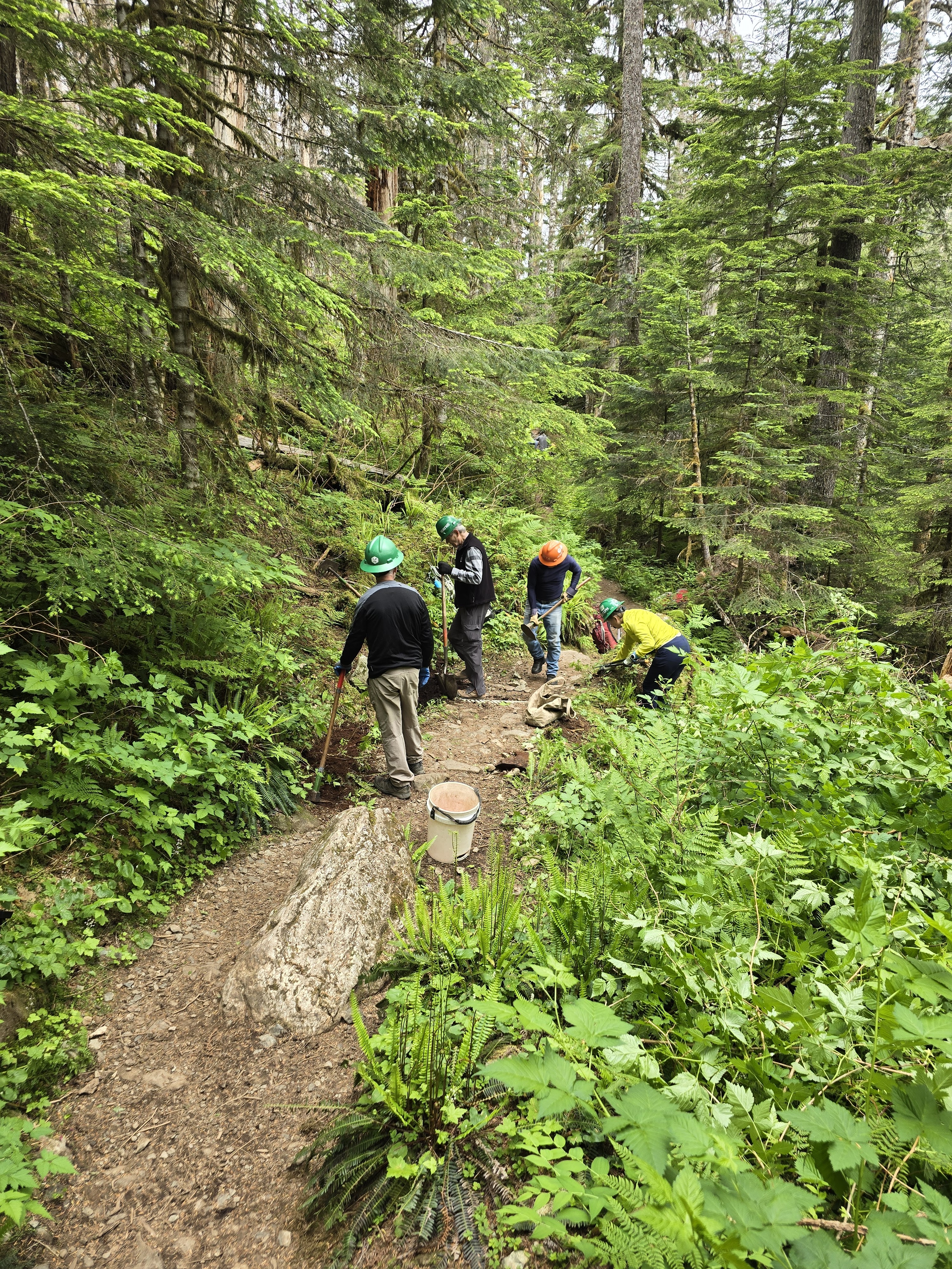 trail crew improves Barclay Lake