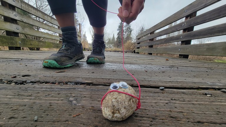A pet rock is on a leash.