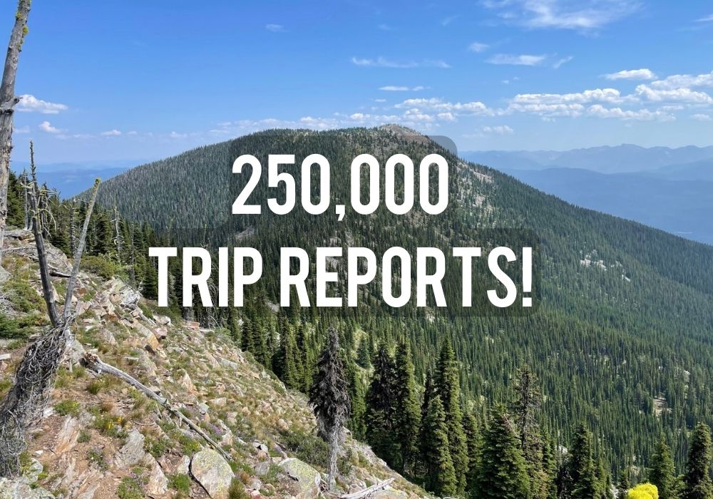 250,000 trip reports!